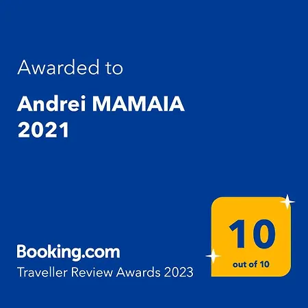 Appartement Andrei 2021 *